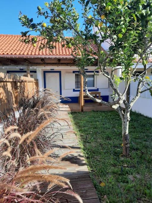 Vila Sado House 3 Comporta Exteriér fotografie